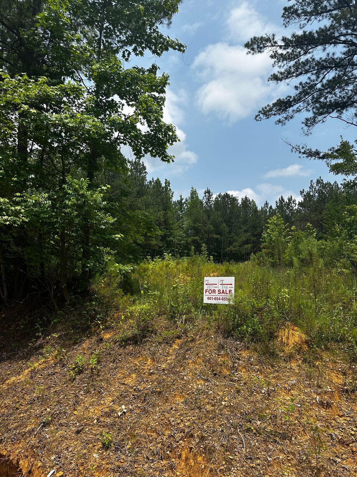 Southern Land Guys for sale sign at McCool Estates