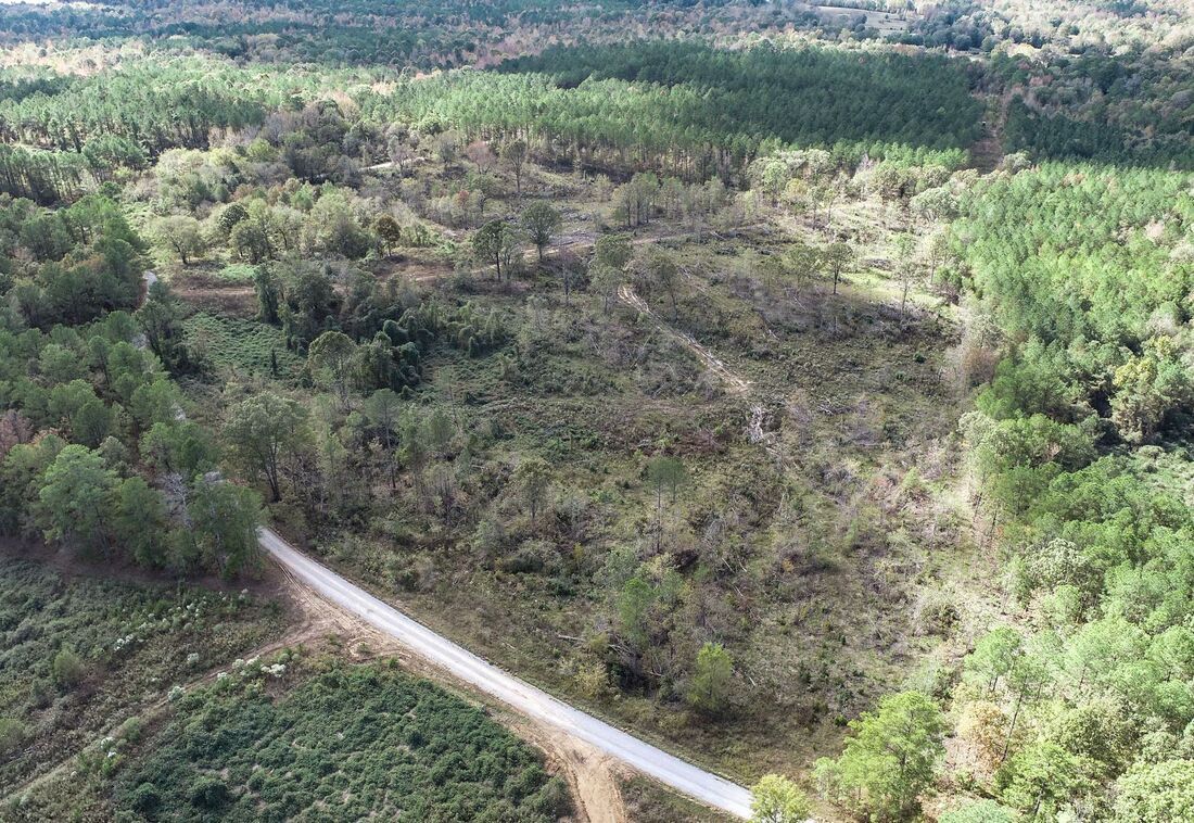 Paved county road frontage along the Tillatoba tracts