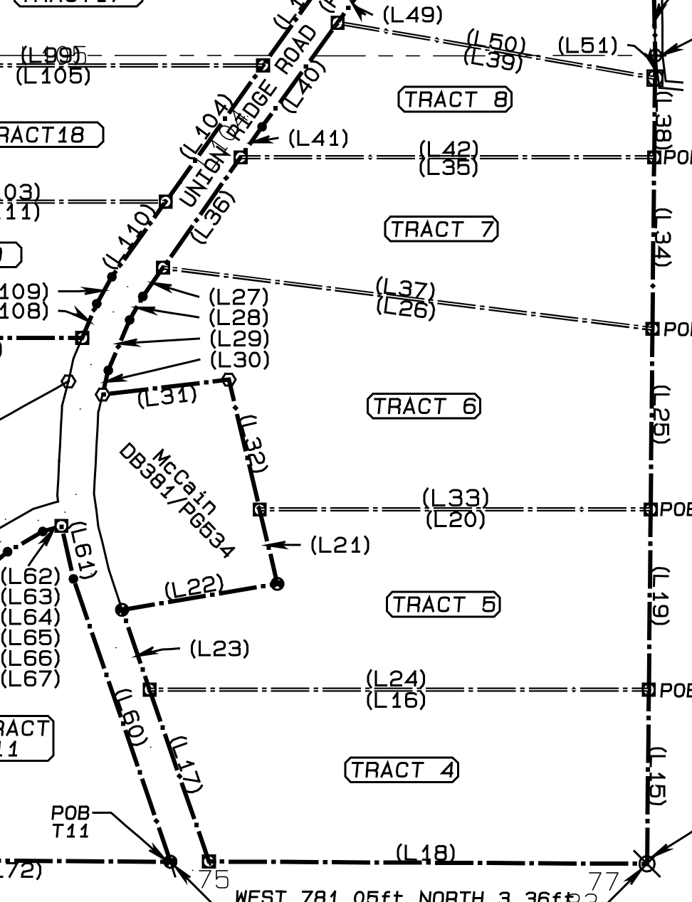 Survey plat of the Union Ridge tracts on Union Ridge Road, Winston County